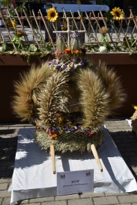 DSC_0014A (3)   